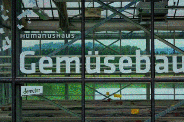 gif_gemueseabo-2.gif gif_gemueseabo-2.gif